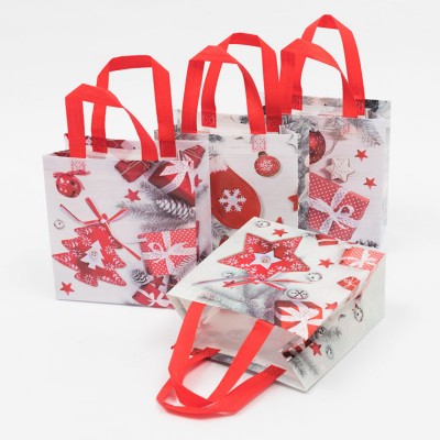 PP woven bag gift bag with opp film lamination and printing produced factory